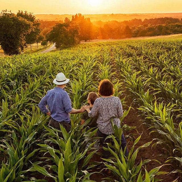 Managed Farmland